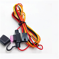 SM2.5 2P Housing To Fuse Connector Wire Harness