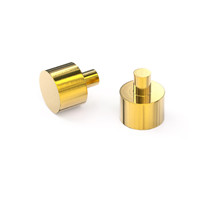 Cutom Brass Pin Gold plated contact