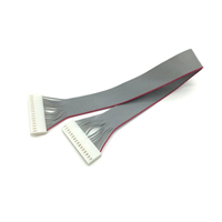 2.54mm HSG TO HSG Flat Ribbon Cable Assembly
