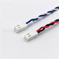 2.5mm 2510 2P  To  Stripped Tinned  Cable Assembly