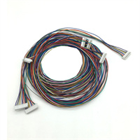 SH1.0  NP  To SH1.0  NP Wire harness